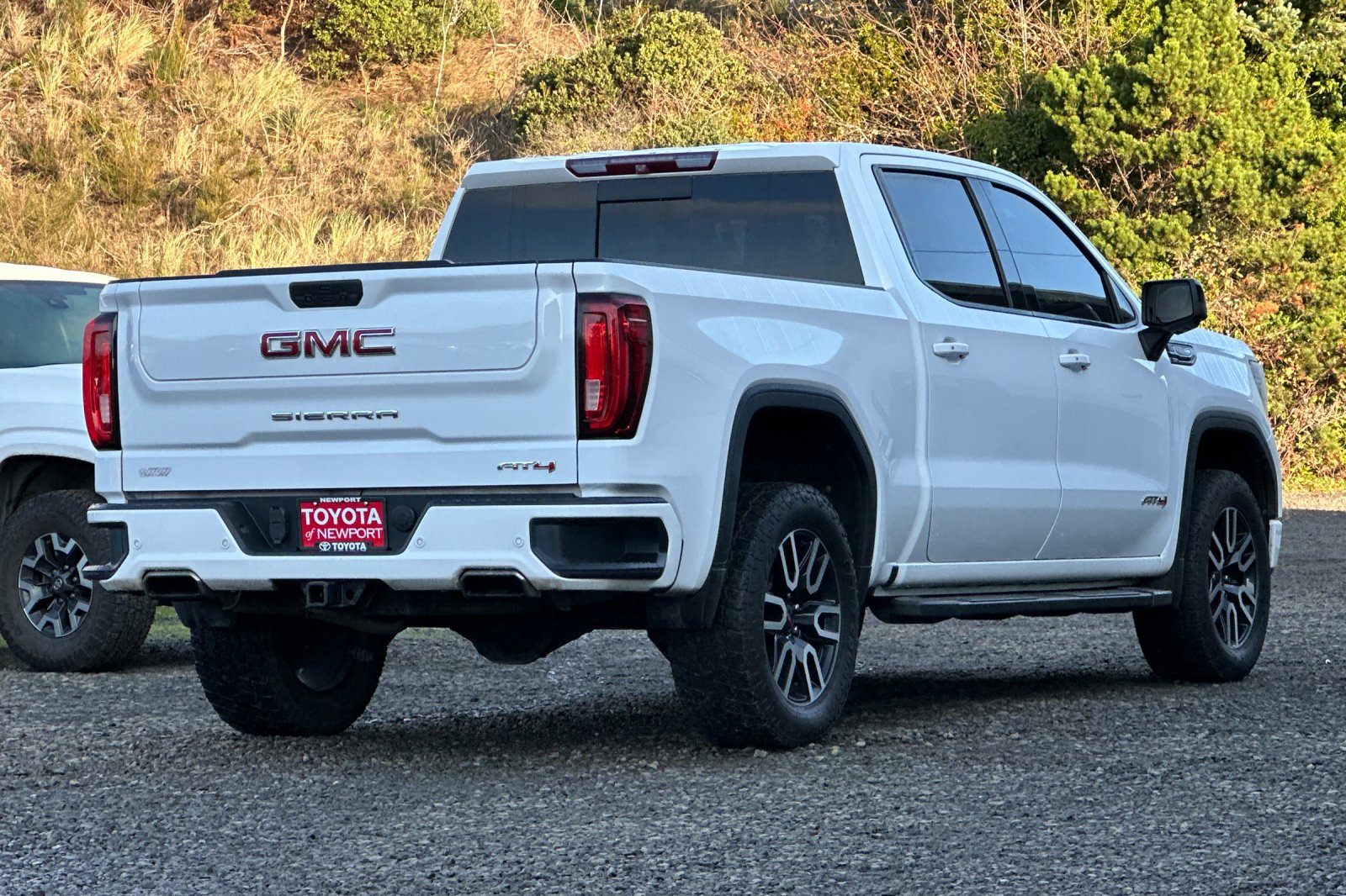 2019 Gmc Sierra 1500 AT4 photo 3