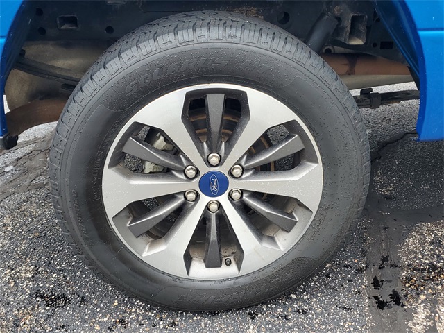 2019 Ford F-150 XL photo 6