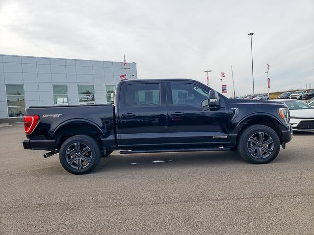 2023 Ford F-150 XLT photo 3