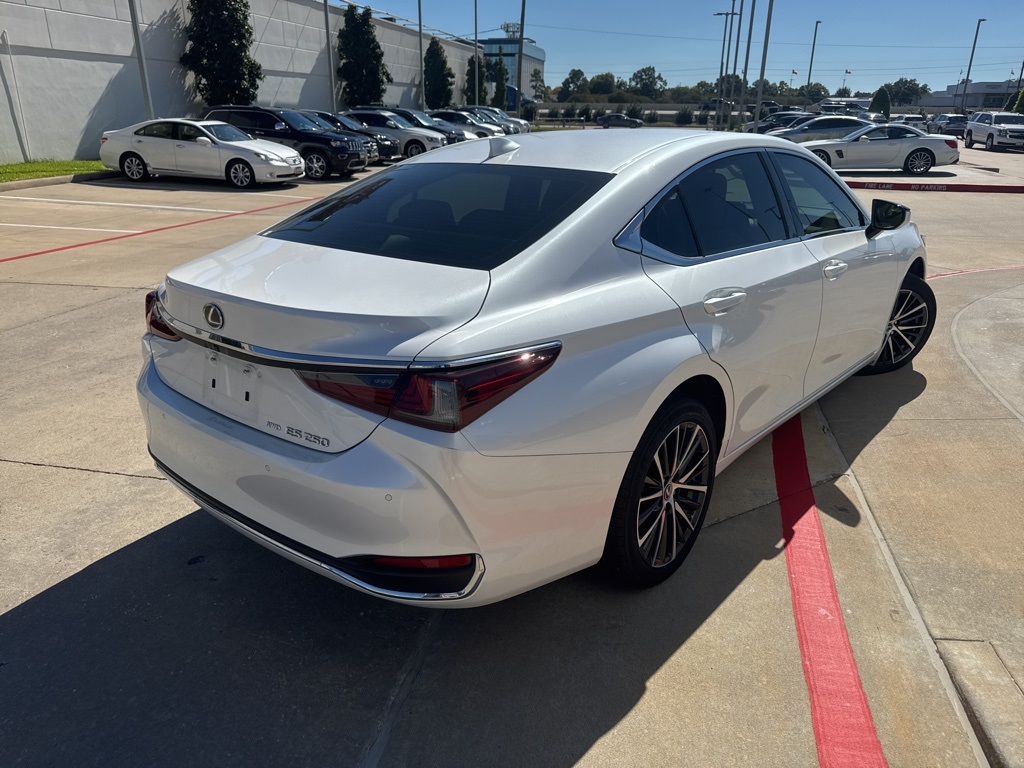 2024 Lexus ES 250 Premium photo 3