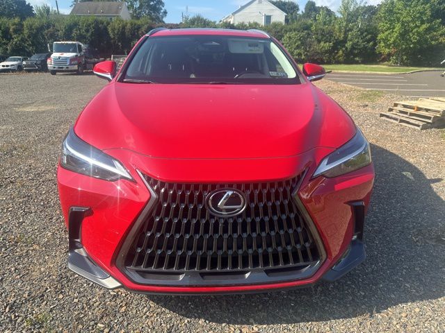 2022 Lexus NX 350h photo 2