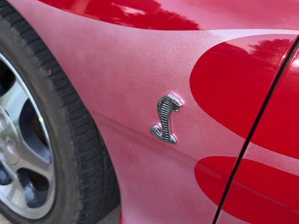 1997 Ford Mustang Cobra photo 4