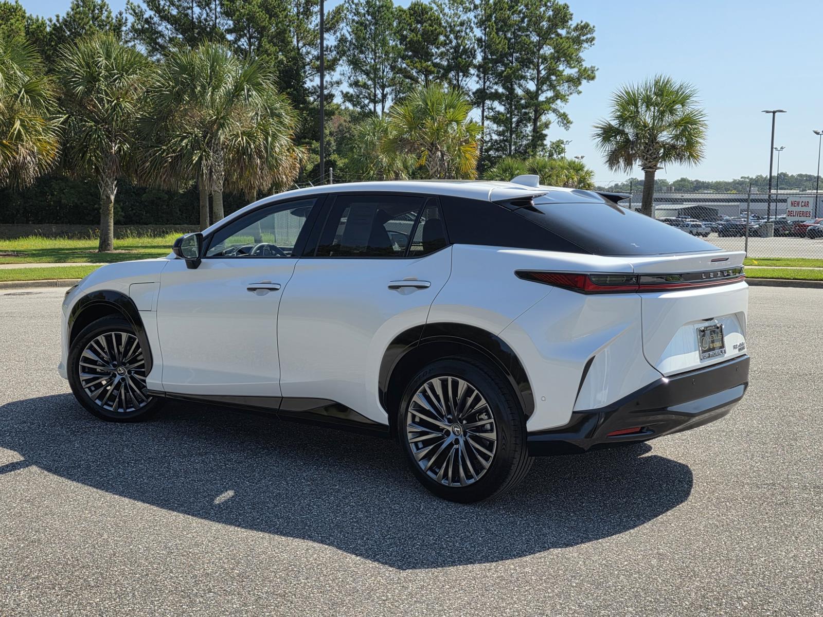 2023 Lexus RZ 450e Luxury photo 4