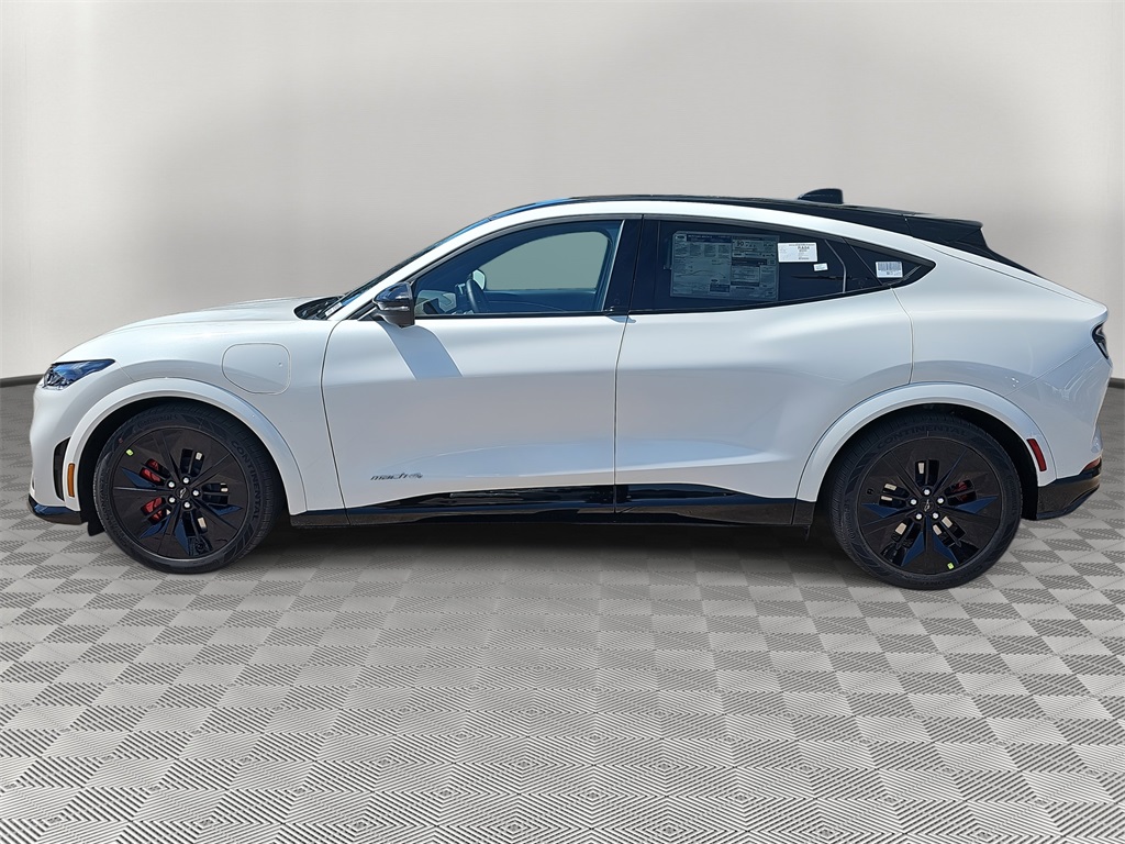 2025 Ford Mustang Mach-E GT photo 6