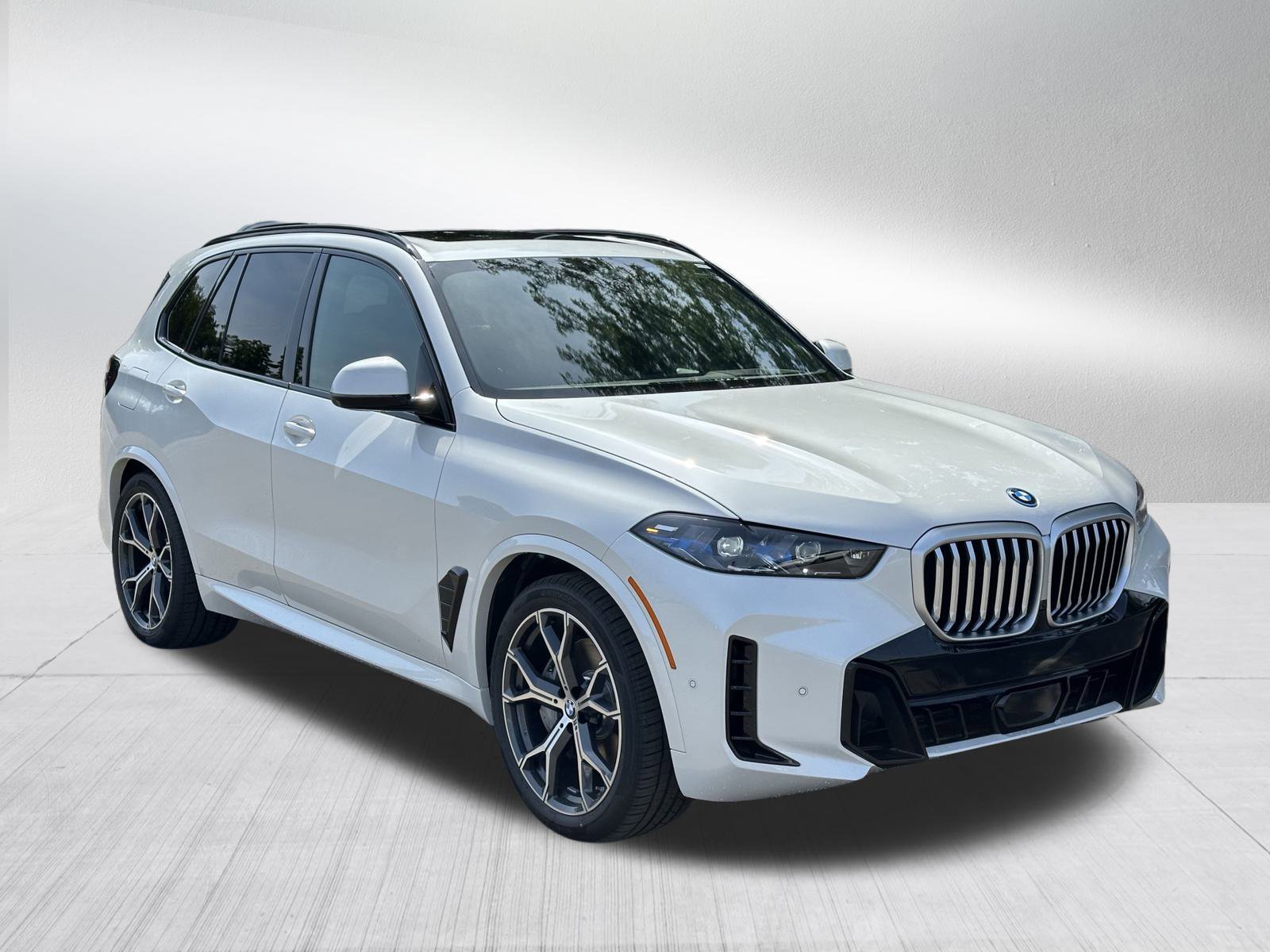 2026 BMW X5 50e's photo