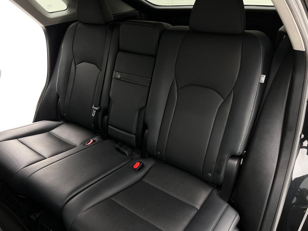 2021 Lexus RX 450h photo 18