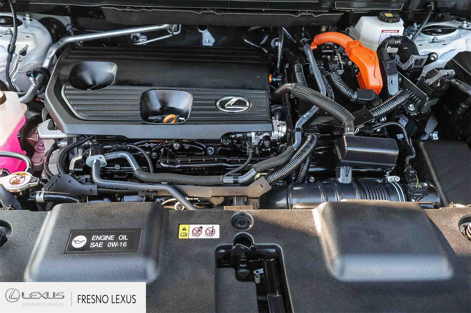 2022 Lexus NX 350h Premium photo 22