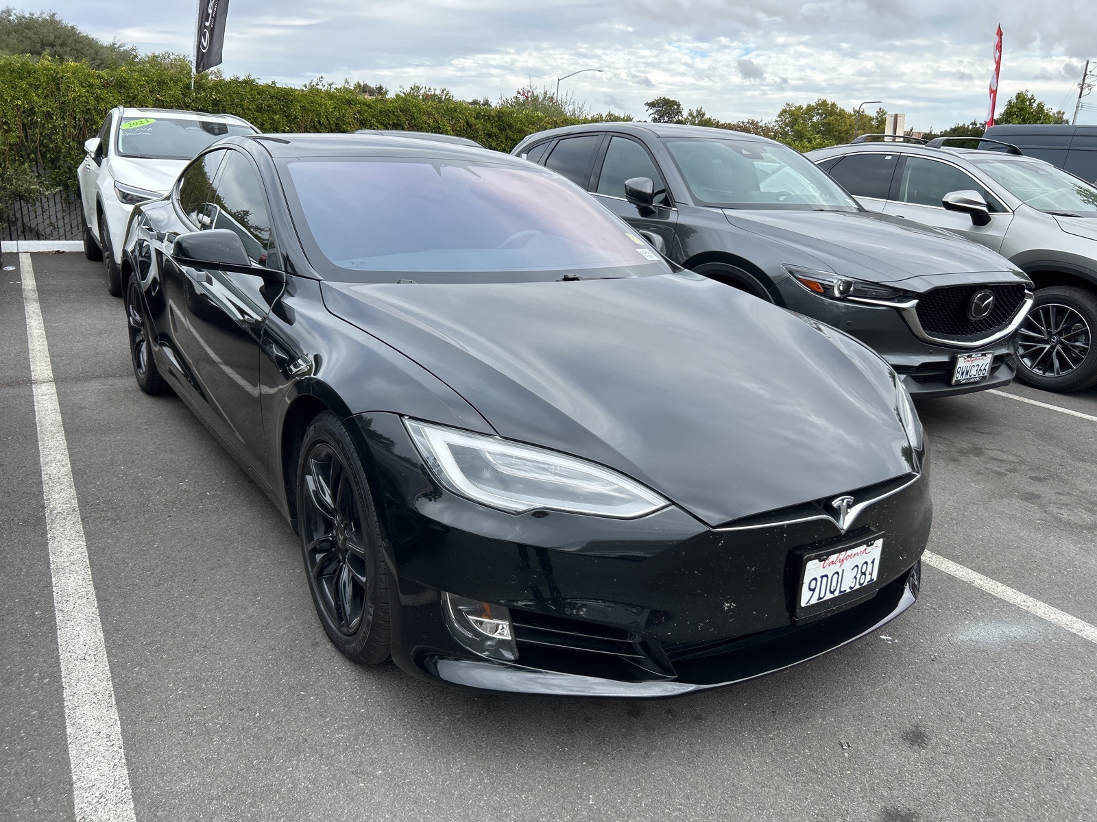 2019 Tesla Model S Performance photo 2