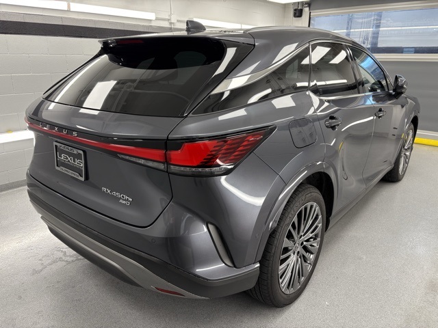 2024 Lexus RX 450h+ Luxury photo 6