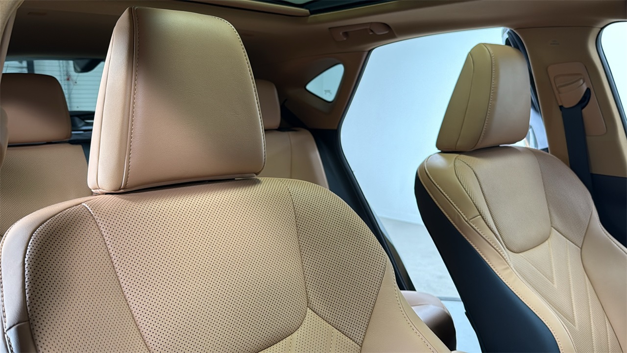 2024 Lexus NX 350 Luxury photo 16