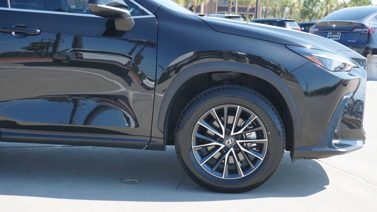 2024 Lexus NX 250 Premium photo 7