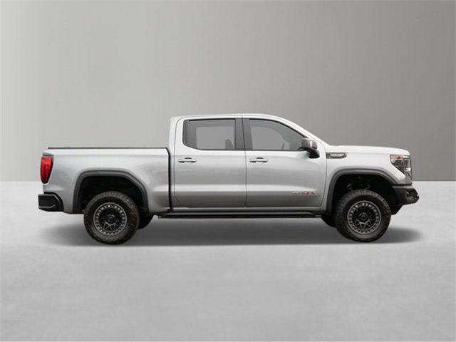 2023 Gmc Sierra 1500 AT4X photo 6