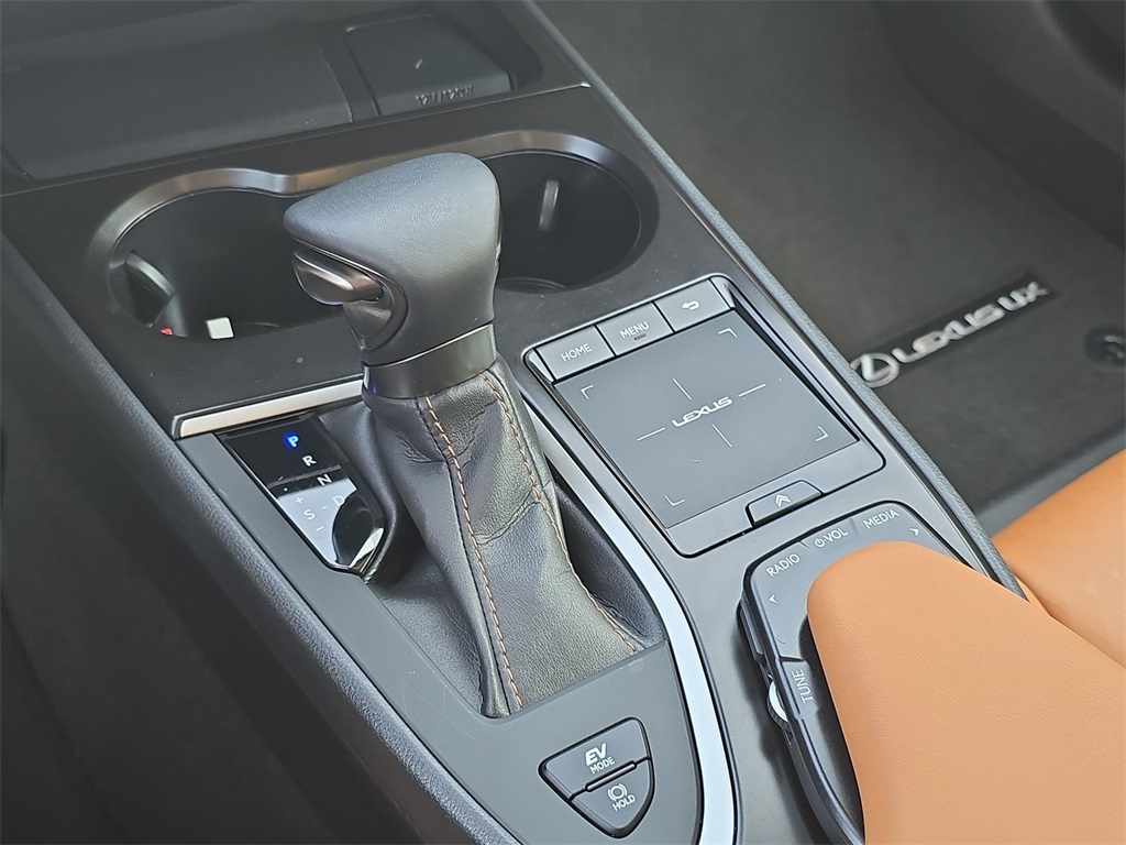 2022 Lexus UX 250h photo 29