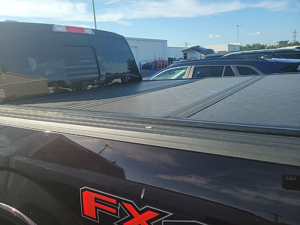 2018 Ford F-150 Platinum photo 14