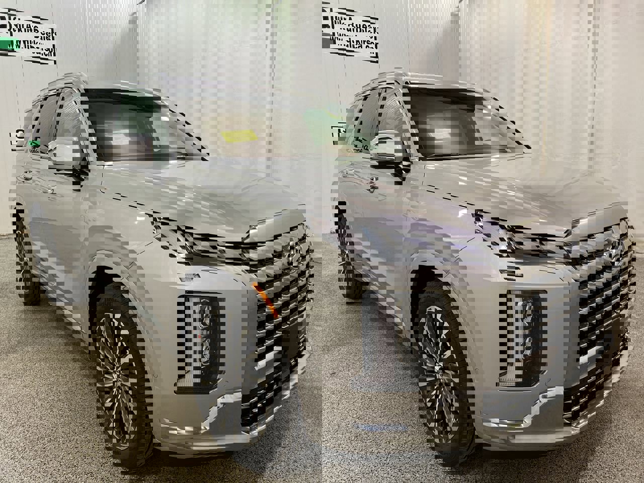 New 2025 Typhoon Silver Hyundai Calligraphy image 1