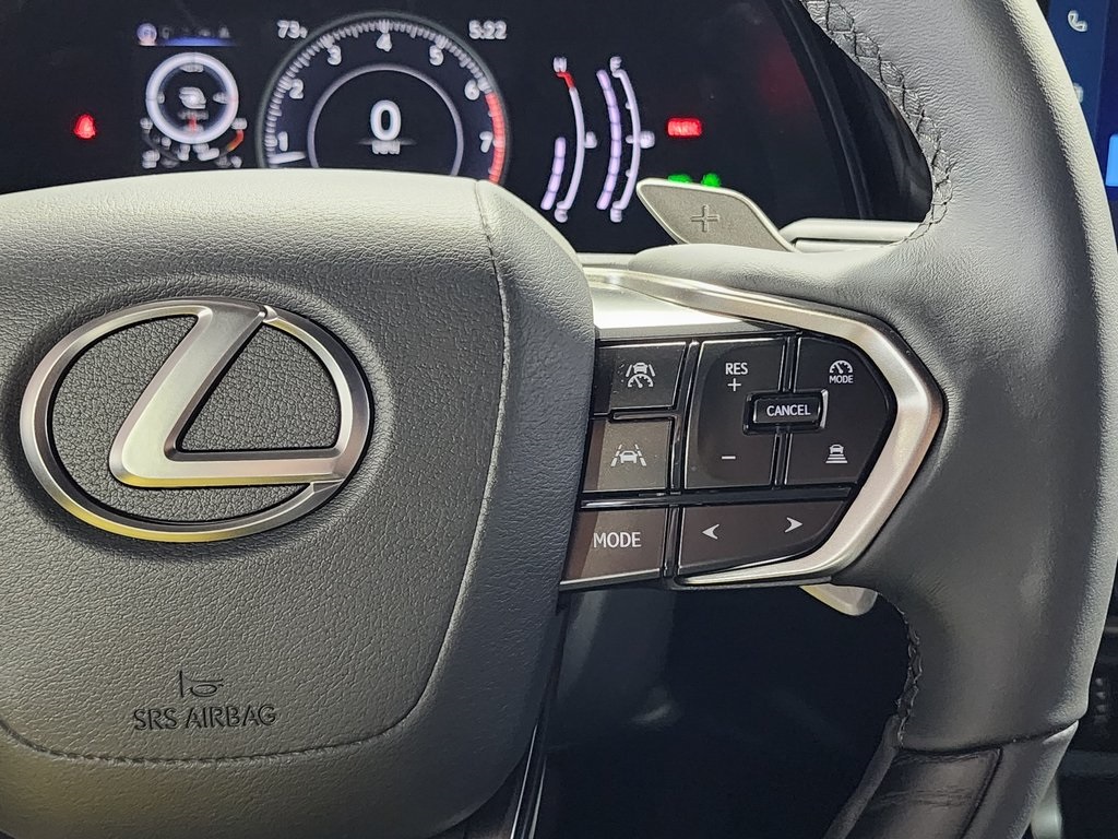 2025 Lexus RX 350 photo 15