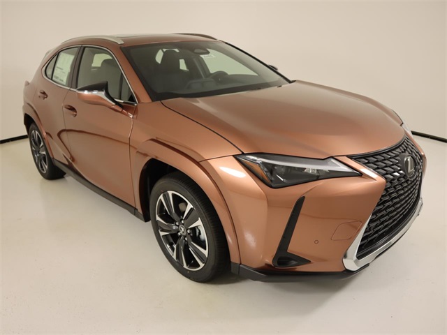 2025 Lexus UX Premium photo 6