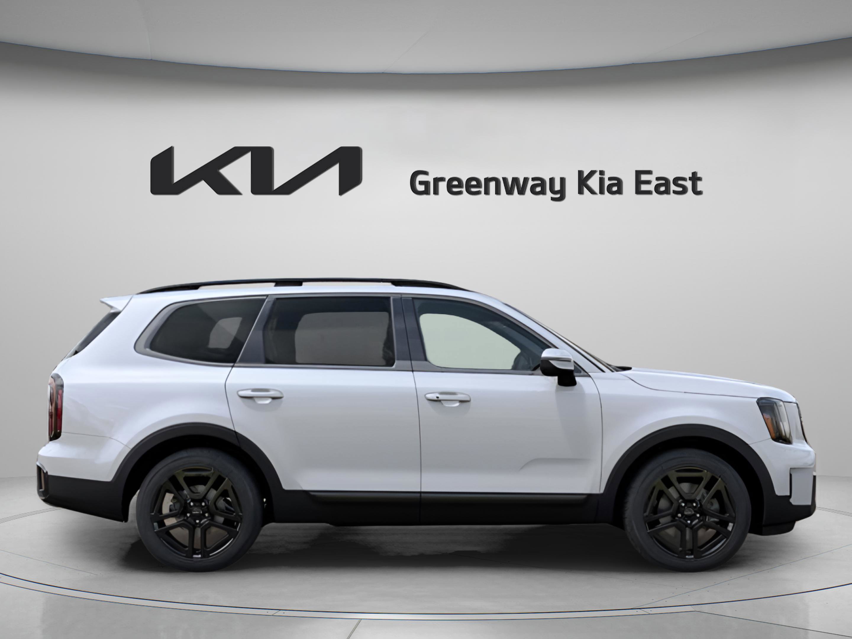 2025 Kia Telluride EX X-Line photo 11