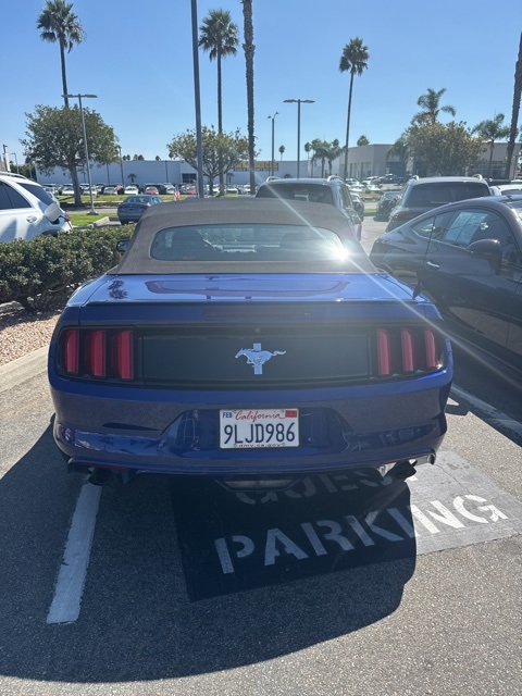2015 Ford Mustang V6 Convertible photo 5