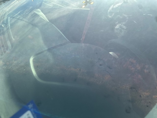 Used 2015 WHITE Ford SE image 15