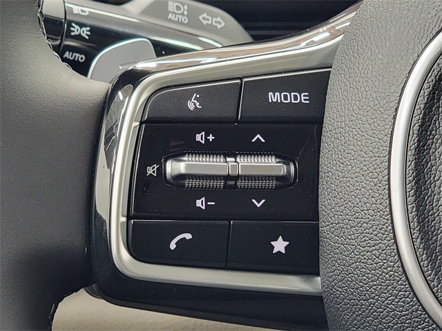 2026 Kia Carnival LXS photo 25