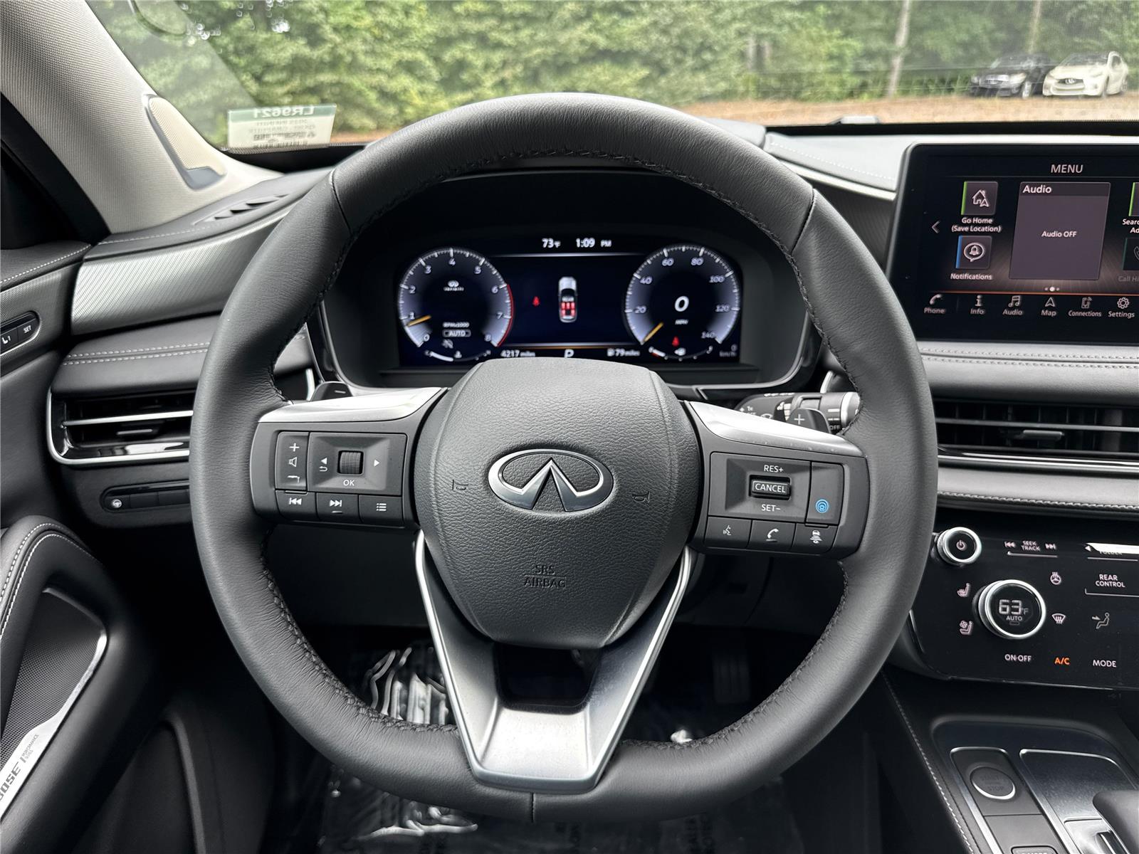 2025 Infiniti QX60 Luxe photo 12
