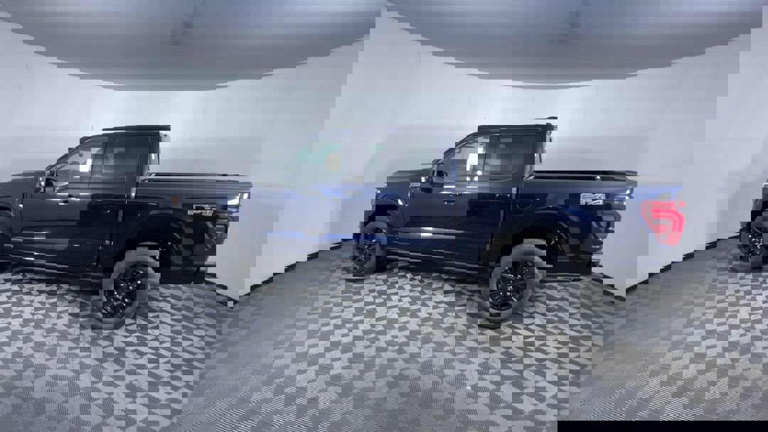 2025 Ford F-150 Platinum photo 6