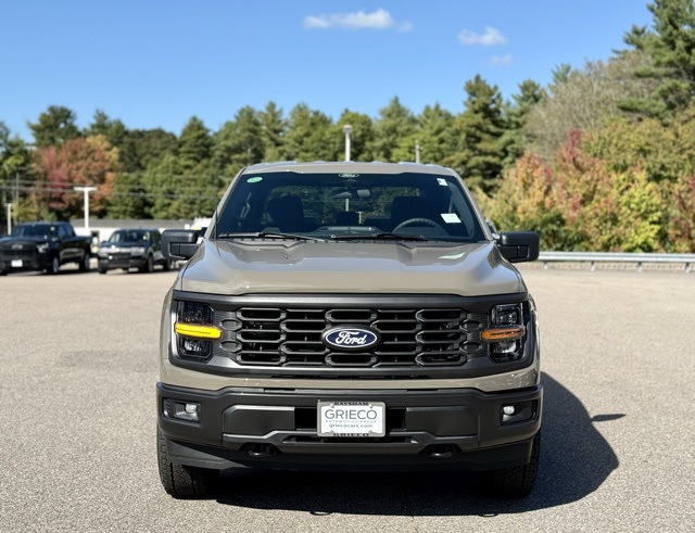 2025 Ford F-150 STX photo 11