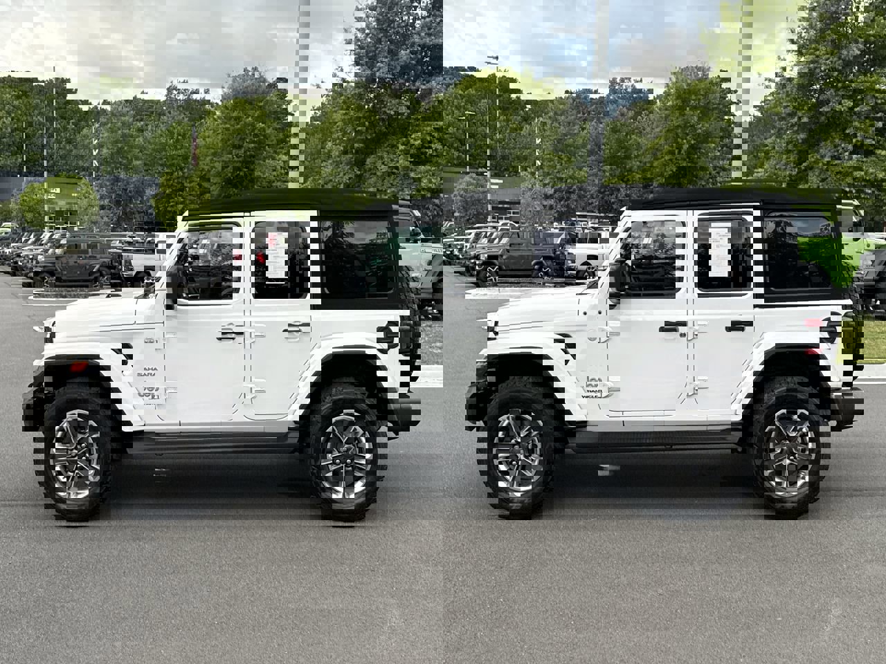 1C4HJXEG9NW154256