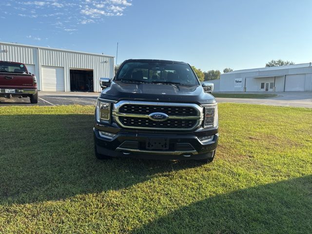 2023 Ford F-150 Platinum photo 3