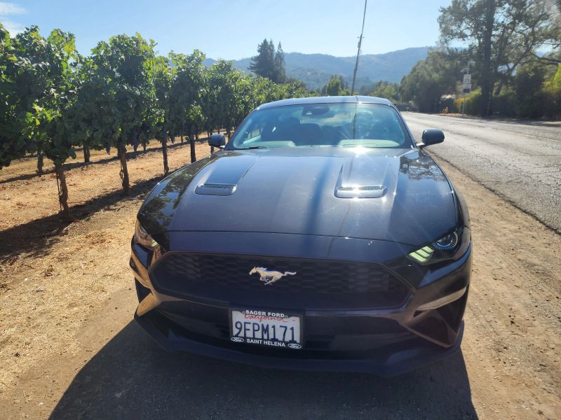 Used 2022 Ford Mustang EcoBoost with VIN 1FA6P8TH6N5146084 for sale in St. Helena, CA
