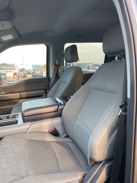 2024 Ford F-150 XLT photo 10
