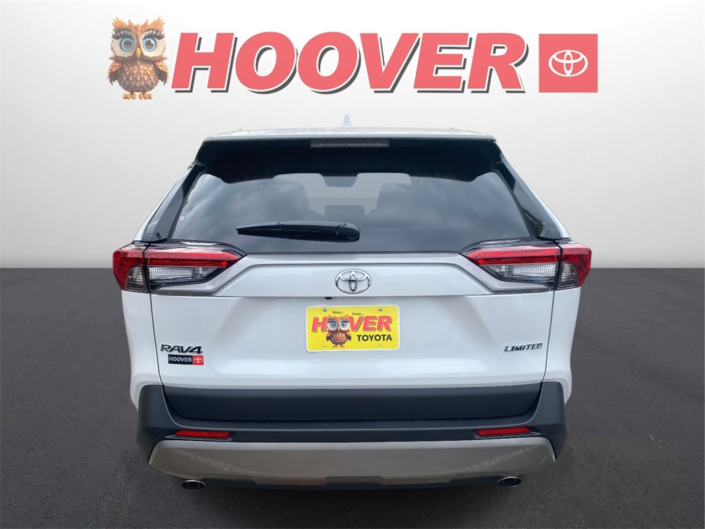 2025 Toyota RAV4 Limited photo 3