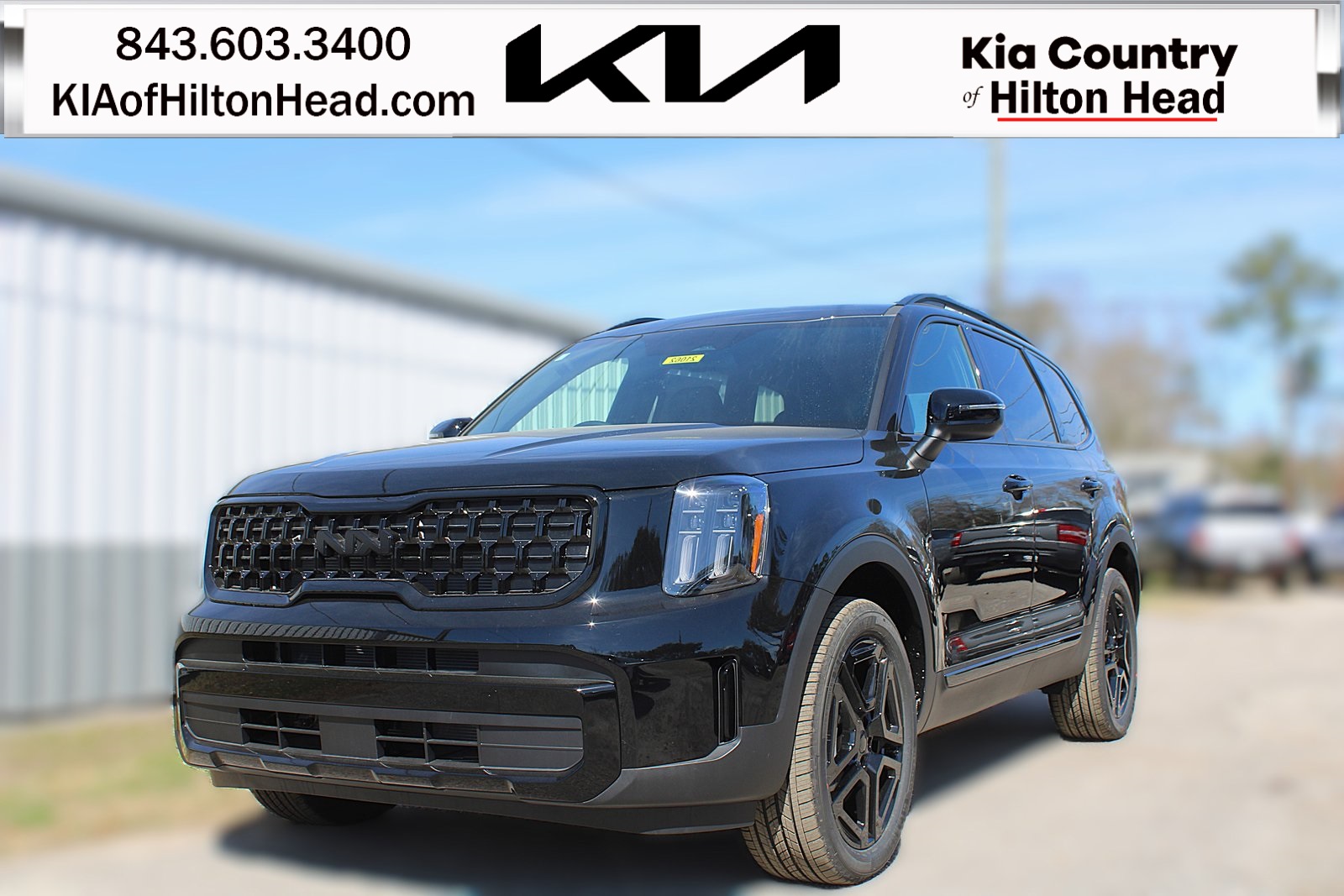 2025 Kia Telluride EX X-Line's photo