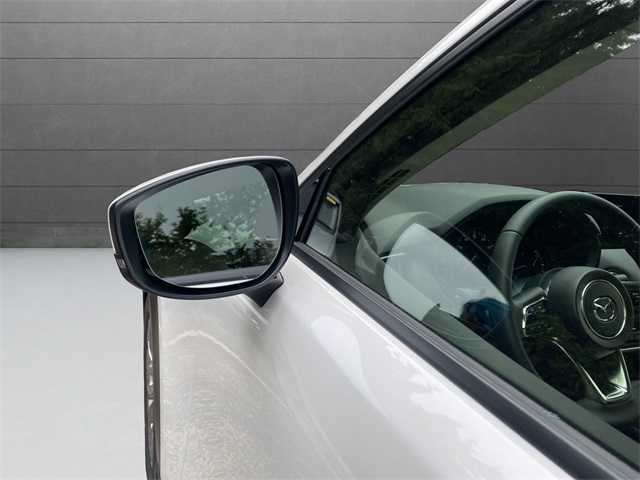 2025 Mazda CX-90 3.3 Turbo Preferred photo 11