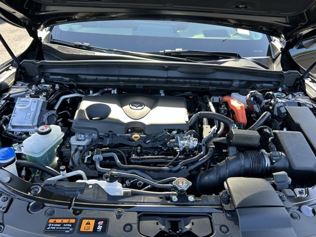 2025 Mazda CX-50 Premium Plus photo 6