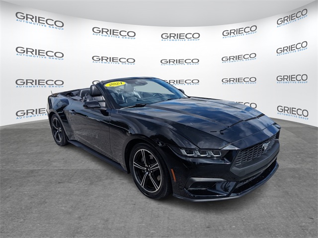 2024 Ford Mustang EcoBoost Premium photo 2
