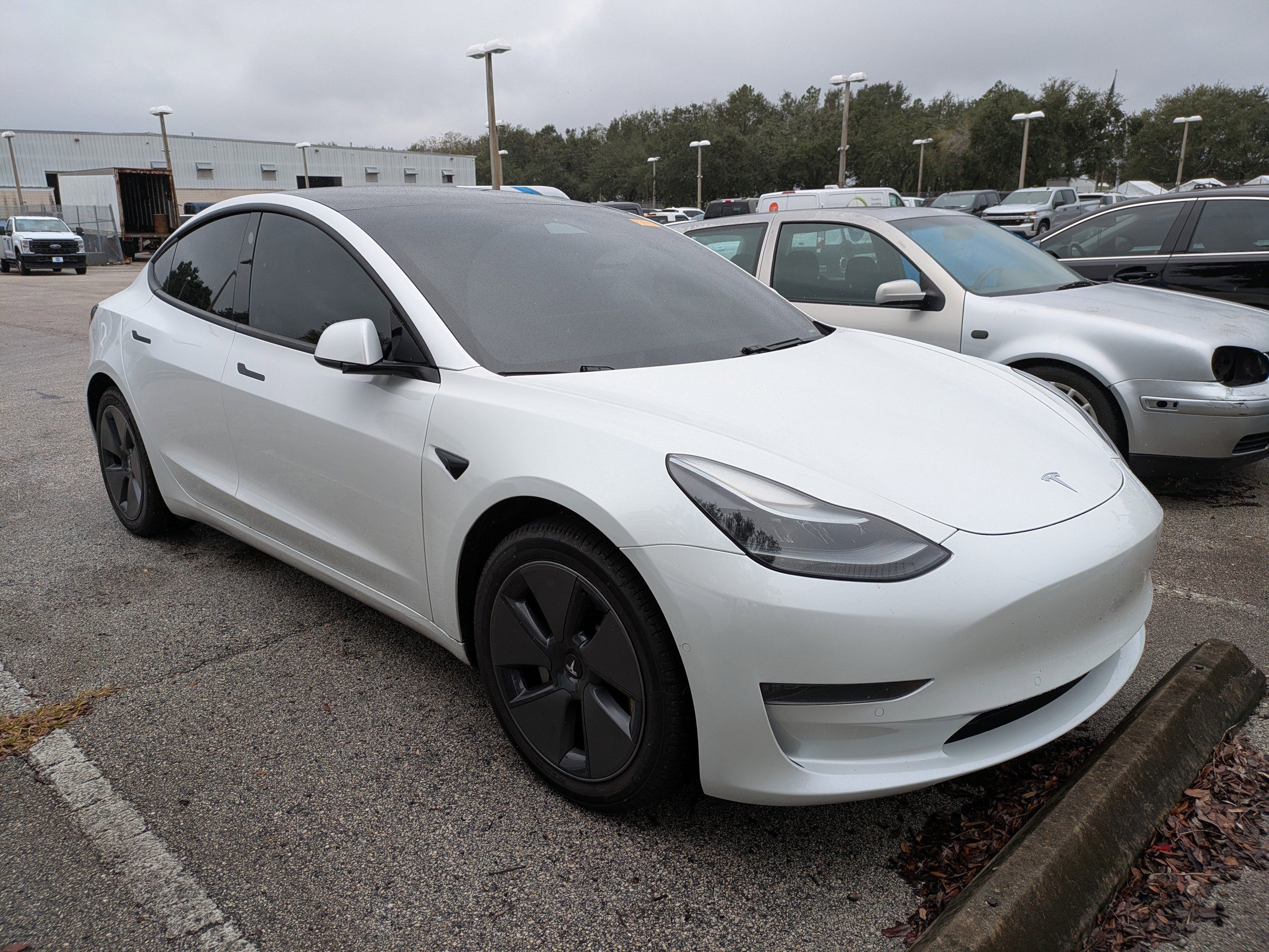 2021 Tesla Model 3 Base's photo