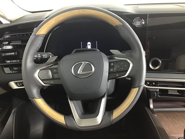 2025 Lexus RX 350 Premium photo 5