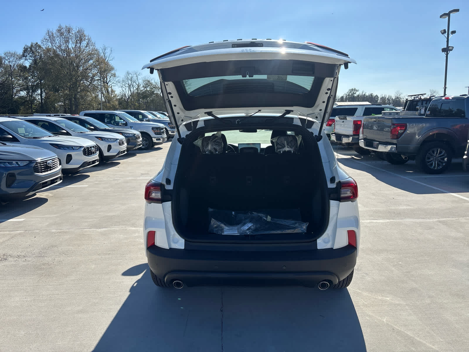 2025 Ford Escape ST-Line photo 7