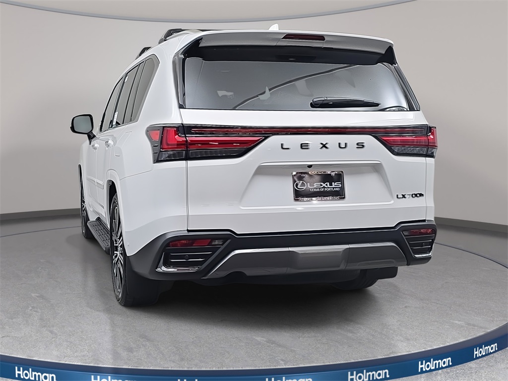 2025 Lexus LX Luxury photo 3