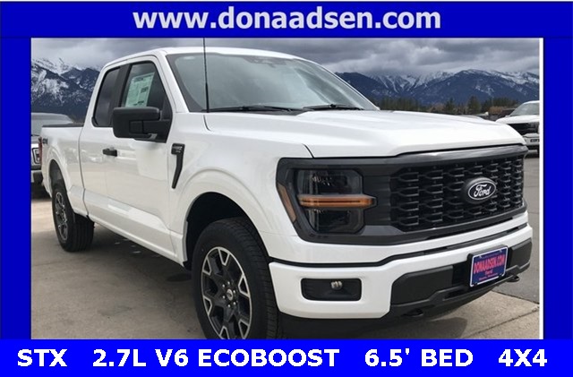 2025 Ford F-150 STX's photo