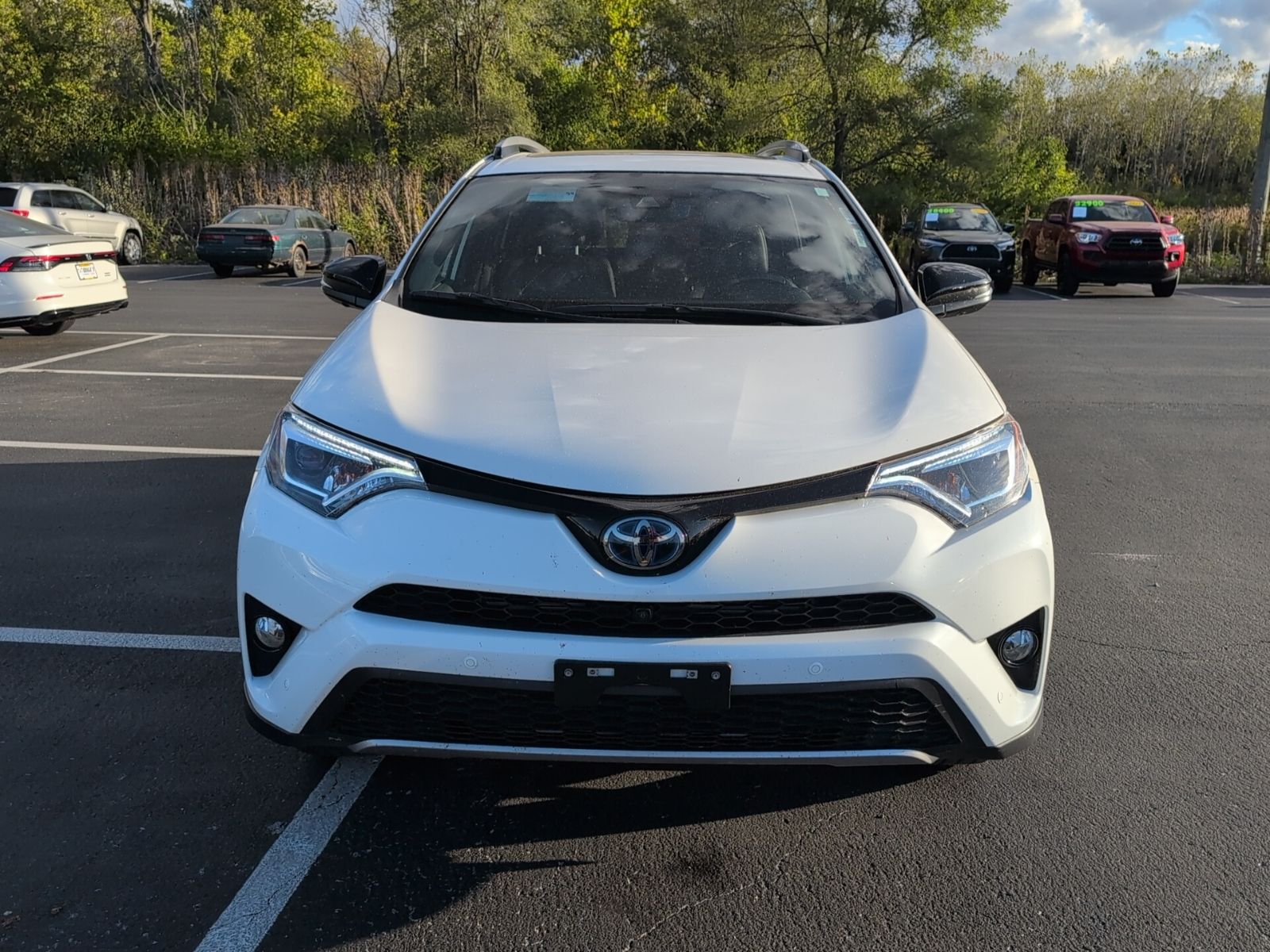 2018 Toyota RAV4 Hybrid SE photo 8