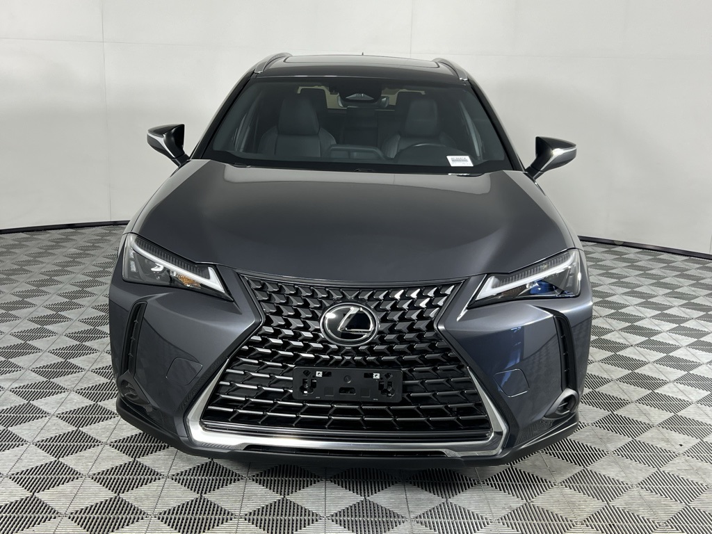 2025 Lexus UX F SPORT Design photo 8