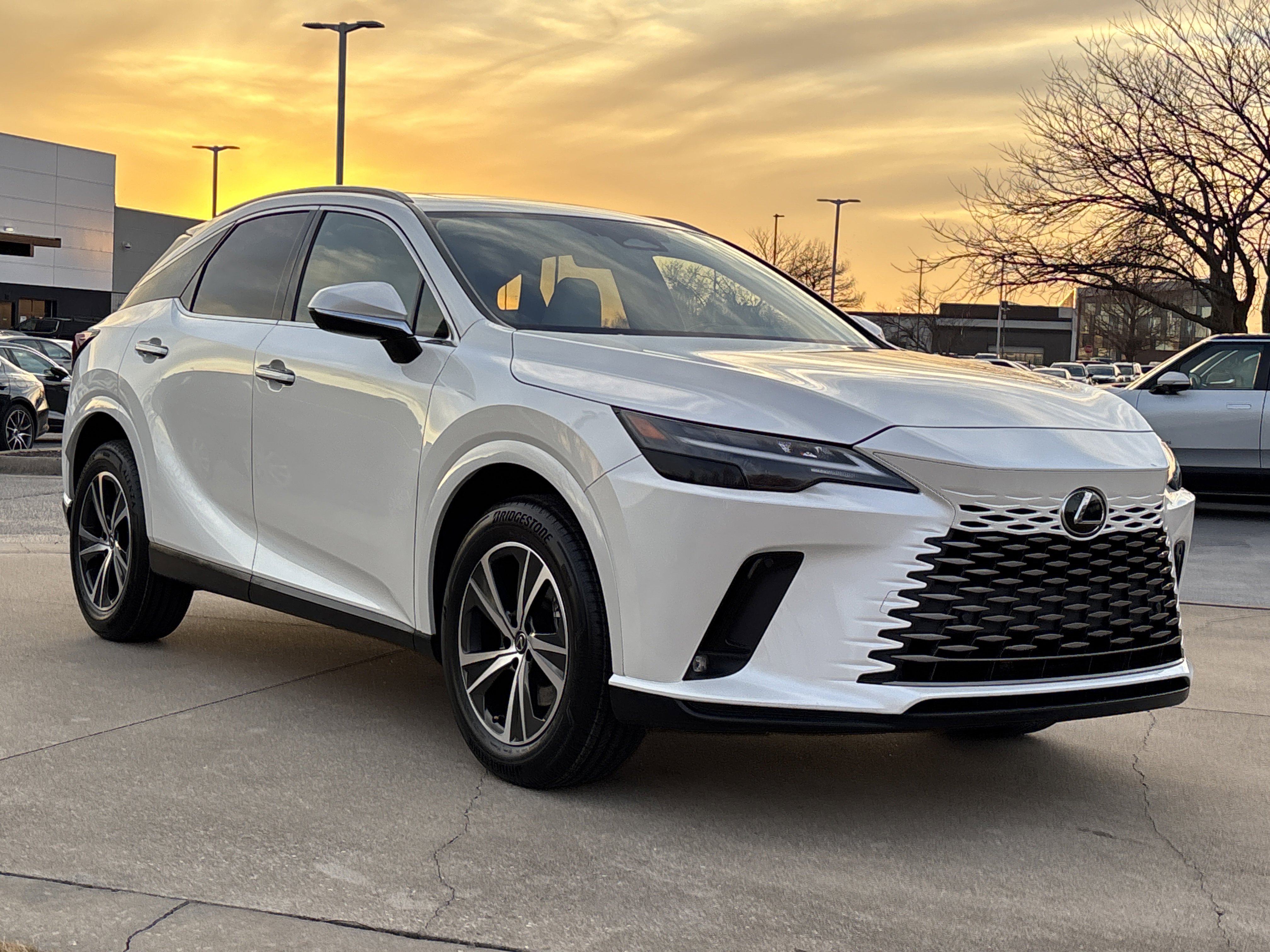 2023 Lexus RX 350's photo