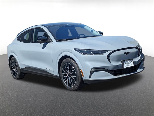 2025 Ford Mustang Mach-E Premium AWD's photo