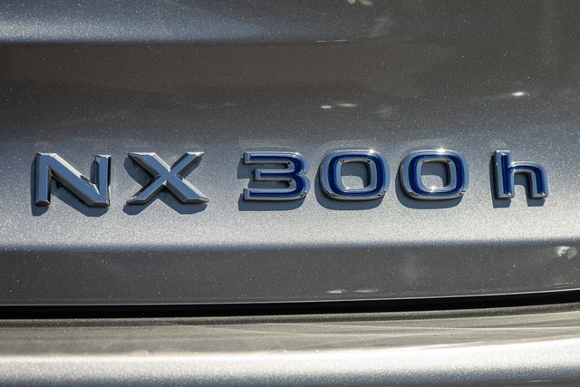 2021 Lexus NX 300h photo 6