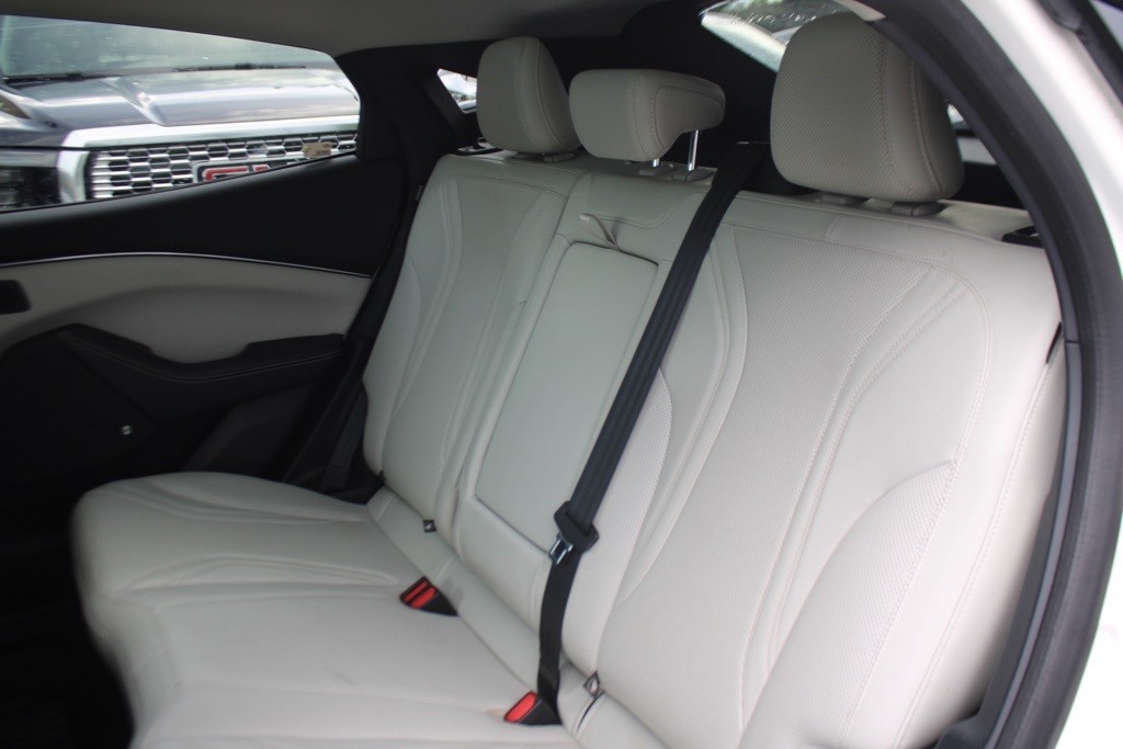 2021 Ford Mustang Mach-E Premium photo 18