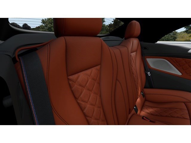 2025 Bmw M8 Competition Convertible photo 12