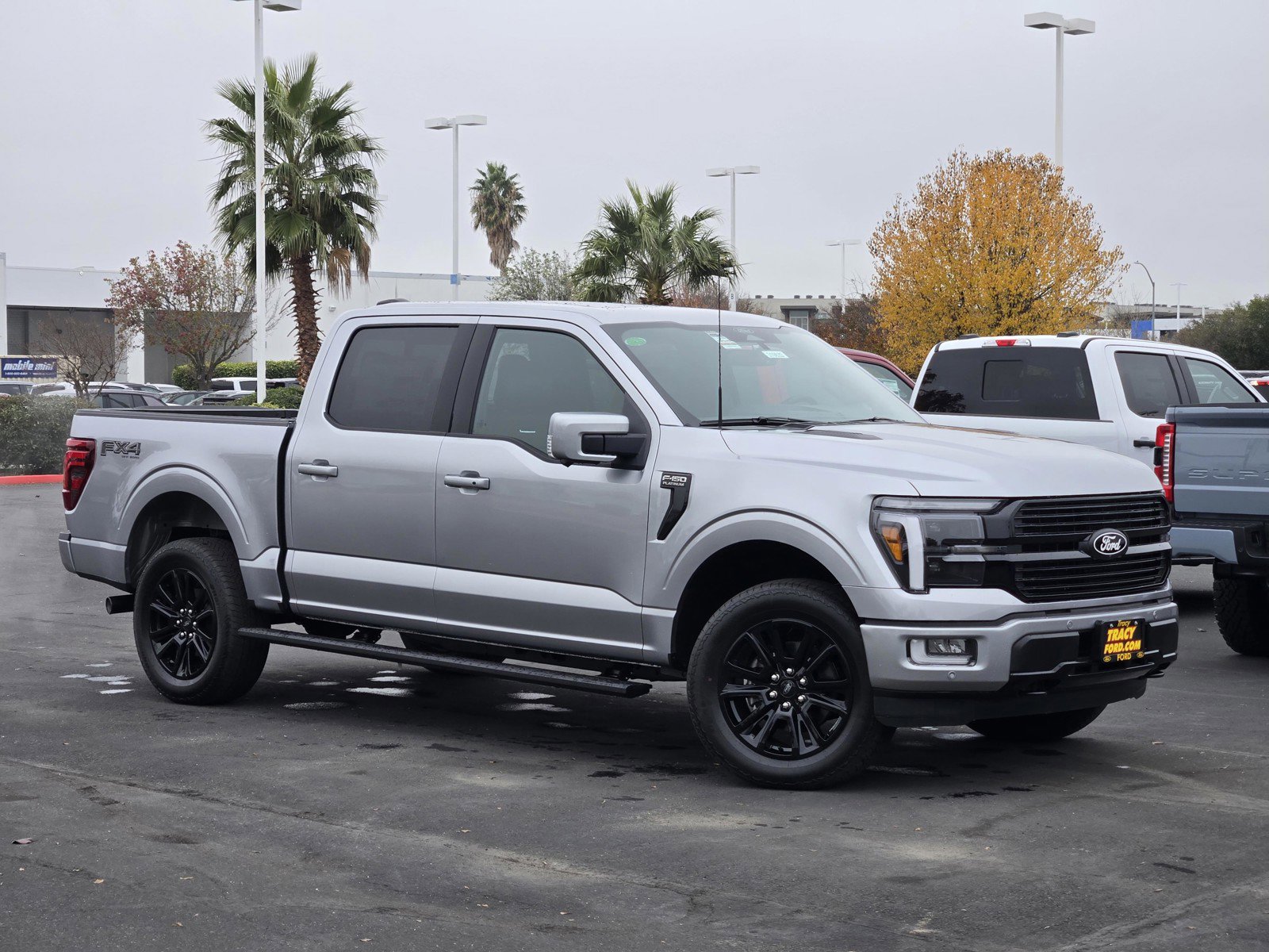 2025 Ford F-150 Platinum's photo